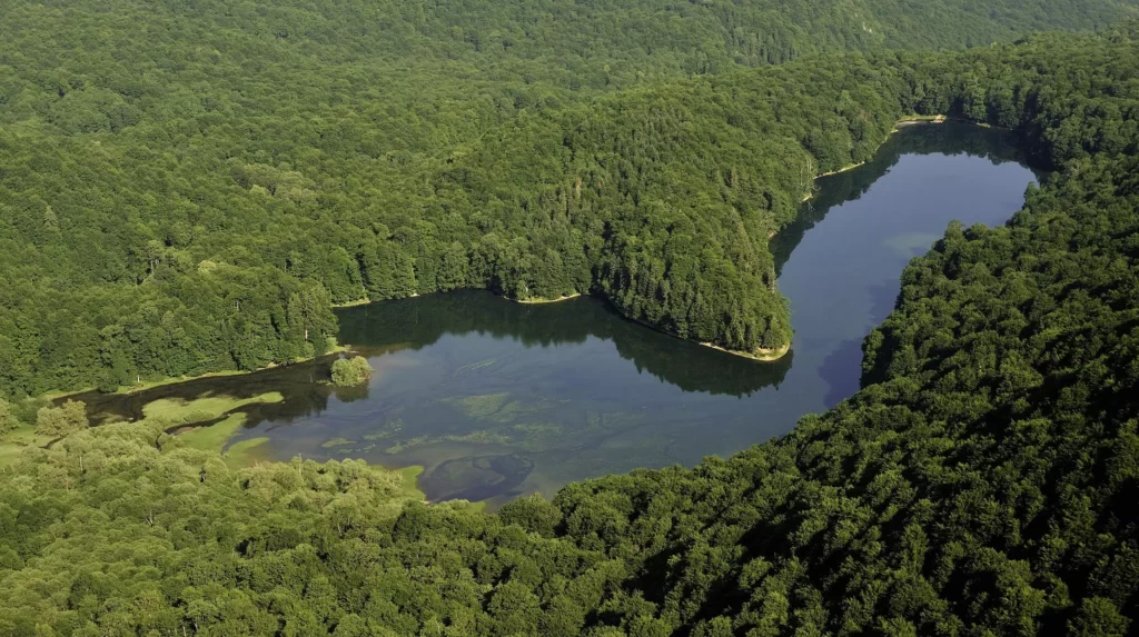 10biogradska-gora