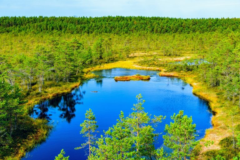 Lahemaa-National-Park-768x512