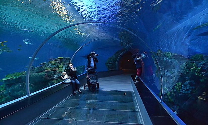 blue-planet-tunnel
