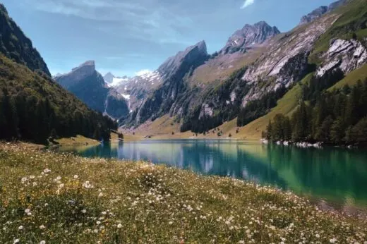Seealpsee-in-Appenzell-Switzerland-520x346.jpg