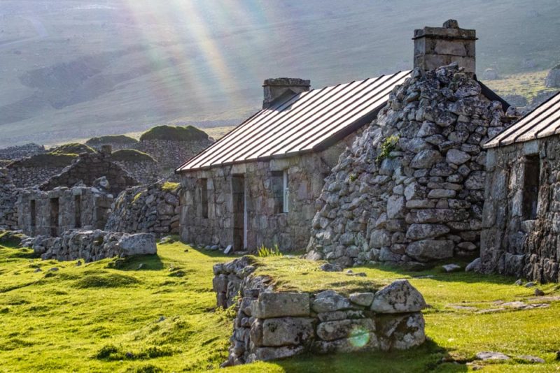 fun-things-to-do-in-scotland-birdwatching-in-st-kilda-800x534