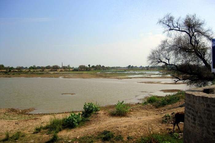 Hanumangarh-Ghaggar-river