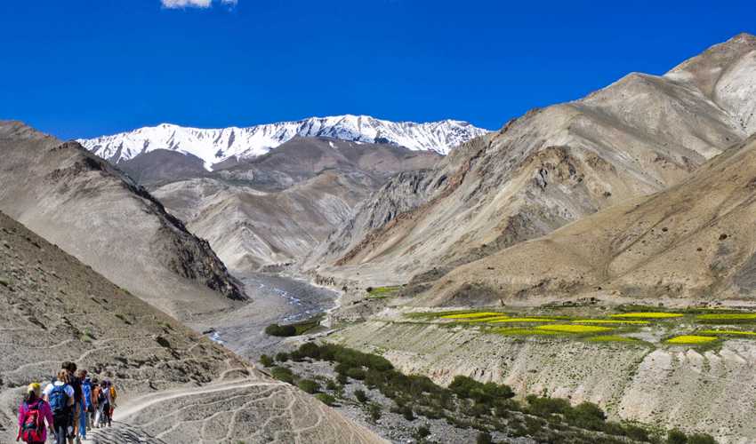 Ladakh-Trek_20170918112130