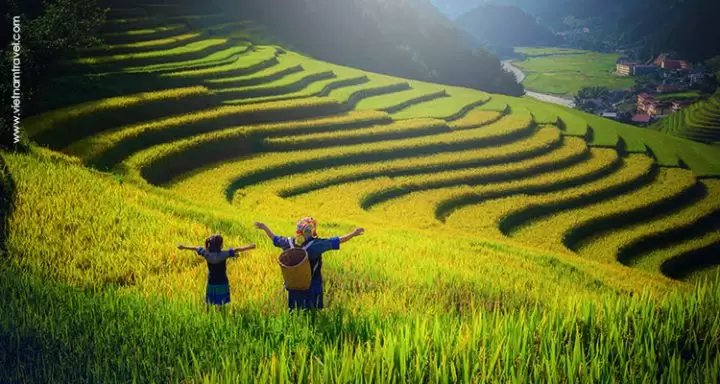 Sapa-Heavenly-terraced-rice-fields-720x384