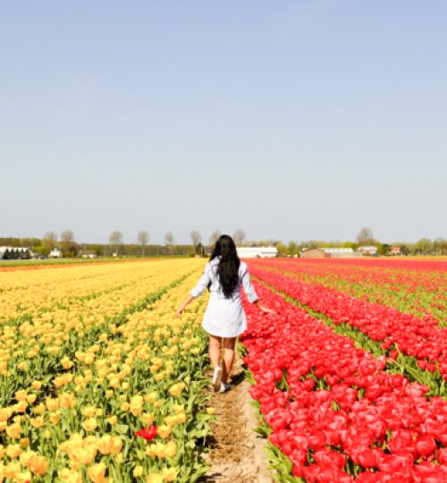 2020.09.28-20-Most-beautiful-places-in-Netherlands-04