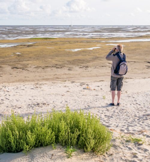 2020.09.28-20-Most-beautiful-places-in-Netherlands-19