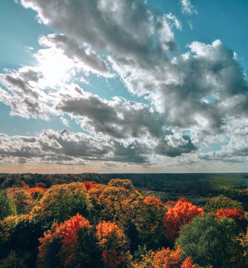 5dbf14818b3107e7c68d09dc_bobsleigh views