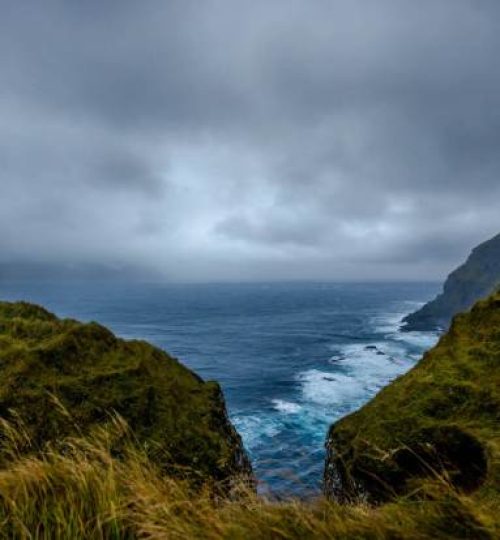 Faroese-selfie-1