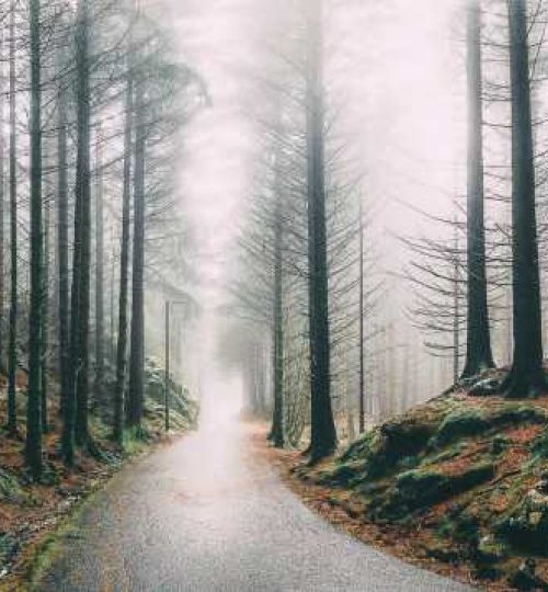 Hand-Luggage-Only-23-1 (1)