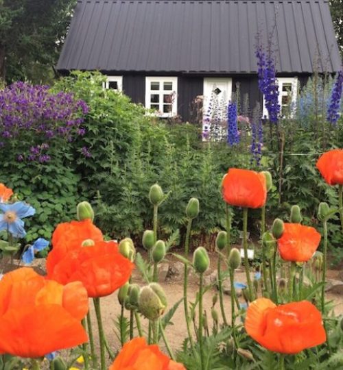 akureyri_botanical_gardens-768x523