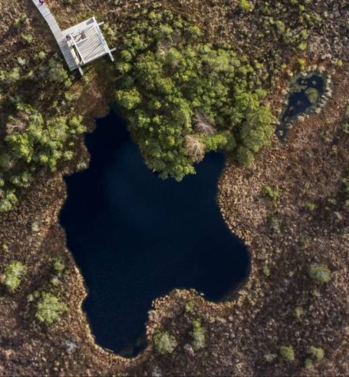 b08ff362ec6132c86007d07e2cca511fc19fba7a