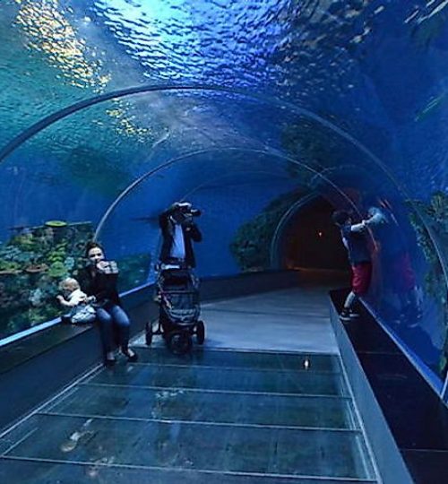 blue-planet-tunnel