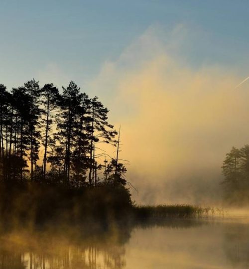 c14e2189217571ff9161671ca4b5cad9cf229cc3