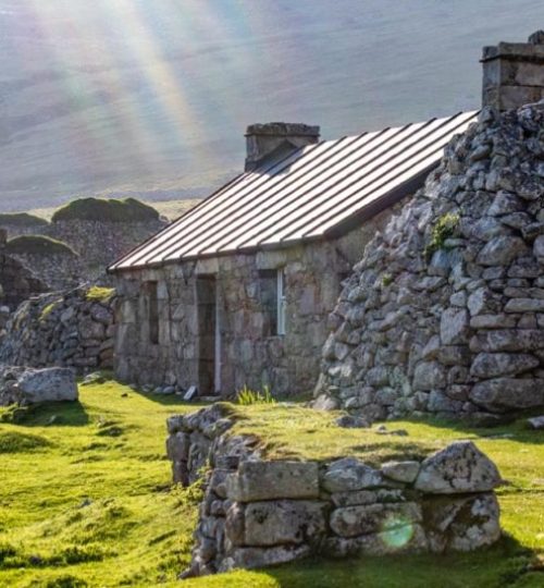 fun-things-to-do-in-scotland-birdwatching-in-st-kilda-800x534