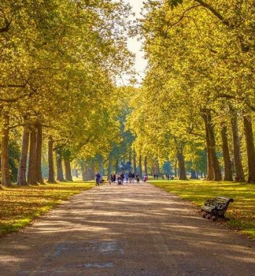 hyde-park