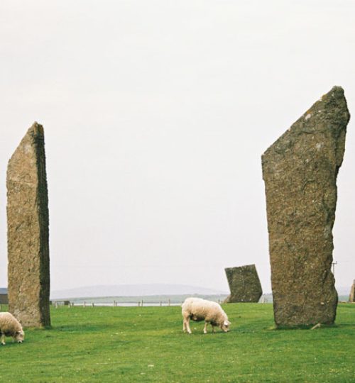 jasmin-gorsuch-gdQOYsnUpek-unsplash