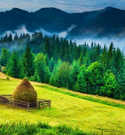 medium_mountain-landscape-fog-bukovina-romania-shutterstock_236930698.jpg_31f294402a