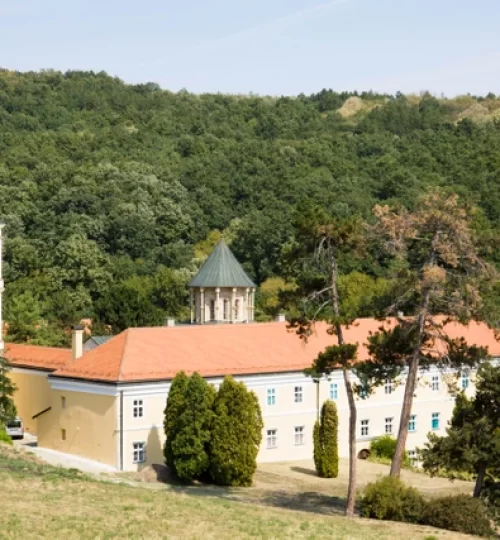 novo-hopovo