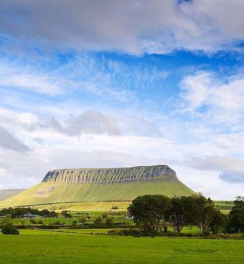 shutterstock-310890656