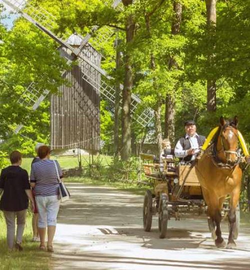 trooper-on-a-horse-in-museum-estonian-open-air