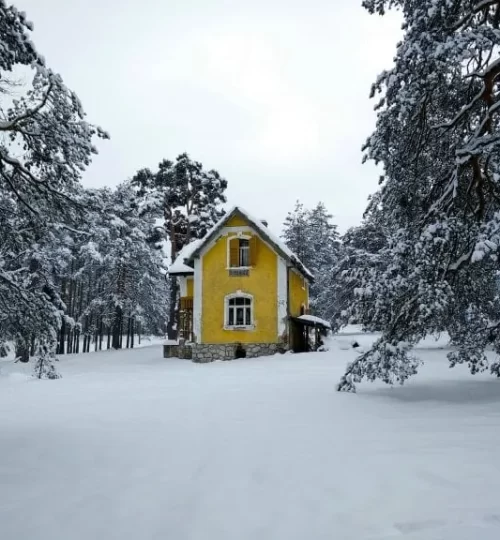 zlatibor-1899672_1920-768x576
